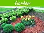 Top 8 Types Of Mulch Varieties For Garden Top 8 Types Of Mulch Varieties For Garden
