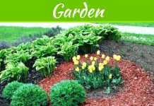 Top 8 Types Of Mulch Varieties For Garden Top 8 Types Of Mulch Varieties For Garden