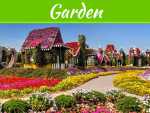 7 Clever Ideas To Make Your Garden Look Great 7 Clever Ideas To Make Your Garden Look Great