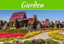 7 Clever Ideas To Make Your Garden Look Great 7 Clever Ideas To Make Your Garden Look Great