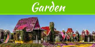 7 Clever Ideas To Make Your Garden Look Great 7 Clever Ideas To Make Your Garden Look Great