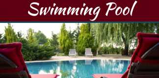 How Pro Homeowners Accent Their Pool In The Backyard How Pro Homeowners Accent Their Pool In The Backyard