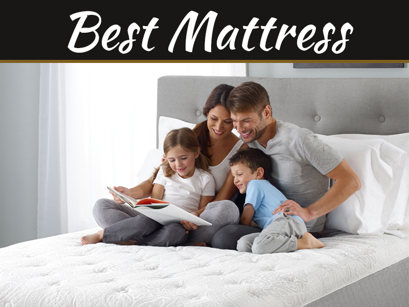 How To Choose The Best Mattress For Your Family My Decorative