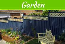 4 Tips To Spruce Up Your Garden