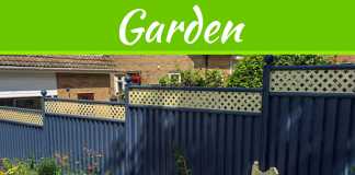 4 Tips To Spruce Up Your Garden