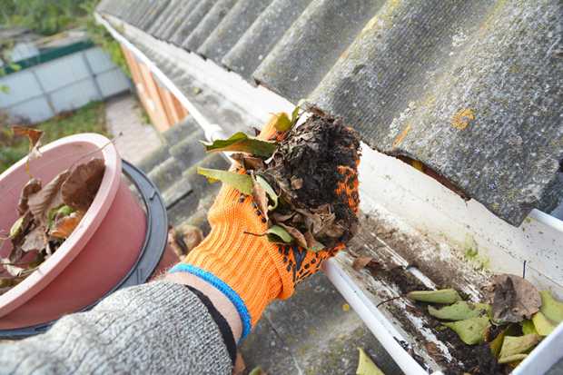 Clean Out Gutters 