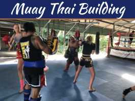 How To Build The Perfect Muay Thai Building How To Build The Perfect Muay Thai Building