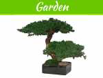 How To Take The Best Care Of Bonsai Trees How To Take The Best Care Of Bonsai Trees