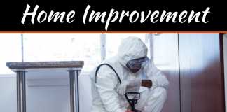 Impressive Facts About Mosquitoes Life Cycle Impressive Facts About Mosquitoes Life Cycle