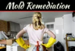 Mold Remediation: When To Hire A Professional Company Mold Remediation: When To Hire A Professional Company
