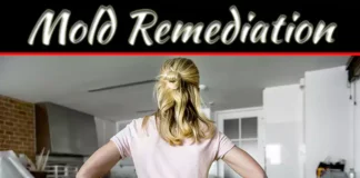 Mold Remediation: When To Hire A Professional Company Mold Remediation: When To Hire A Professional Company