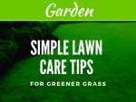Simple Lawn Care Tips For Greener Grass