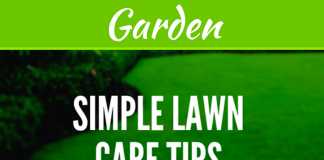 Simple Lawn Care Tips For Greener Grass