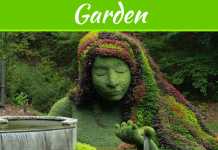 4 Elegant Garden Design Ideas To Enhance Your Yard 4 Elegant Garden Design Ideas To Enhance Your Yard
