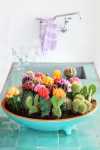 Cactus Arrangements