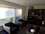 Unique Zebra Roller Shades