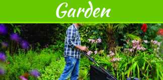 How To Maintain A Healthy Lawn In Hot Weather How To Maintain A Healthy Lawn In Hot Weather