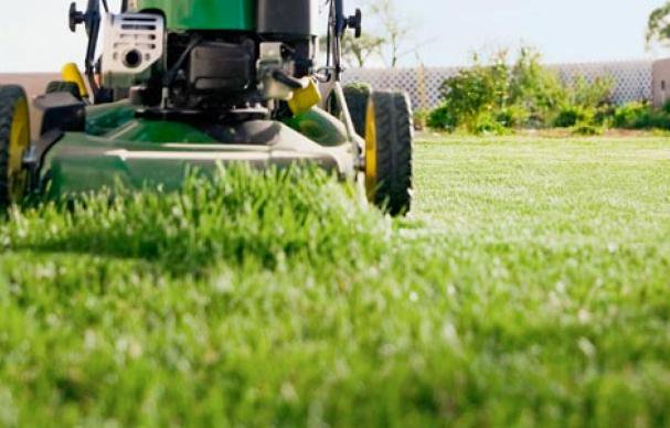How To Care For Your Lawn