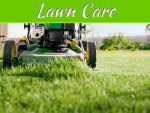 Why Lawn Care Is So Important To The Way Your Home Looks Why Lawn Care Is So Important To The Way Your Home Looks