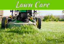 Why Lawn Care Is So Important To The Way Your Home Looks Why Lawn Care Is So Important To The Way Your Home Looks