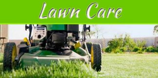 Why Lawn Care Is So Important To The Way Your Home Looks Why Lawn Care Is So Important To The Way Your Home Looks