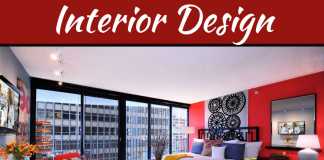 5 Essential Tips To Improve Your Interior Design 5 Essential Tips To Improve Your Interior Design