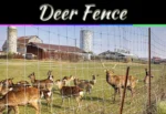 Deer Fence Solutions That Actually Protect Your Garden And Yard Deer Fence Solutions That Actually Protect Your Garden And Yard