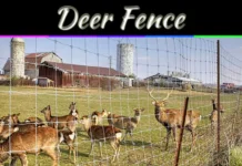Deer Fence Solutions That Actually Protect Your Garden And Yard Deer Fence Solutions That Actually Protect Your Garden And Yard