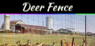 Deer Fence Solutions That Actually Protect Your Garden And Yard Deer Fence Solutions That Actually Protect Your Garden And Yard