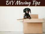 How To Do A DIY Move Without Breaking All Of Your Stuff How To Do A DIY Move Without Breaking All Of Your Stuff