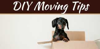 How To Do A DIY Move Without Breaking All Of Your Stuff How To Do A DIY Move Without Breaking All Of Your Stuff