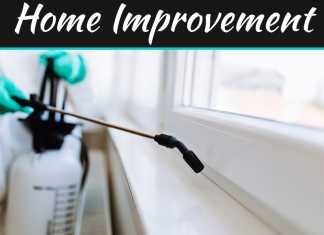 They Don’t Allow Bed Bug Bites in Blythewood They Don’t Allow Bed Bug Bites in Blythewood