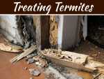 Treating Termites For Your Home Protection Treating Termites For Your Home Protection