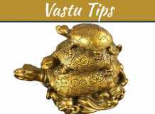 What Is The Right Tortoise Direction For Financial, Health And Relationship Stability What Is The Right Tortoise Direction For Financial, Health And Relationship Stability