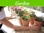 5 Low Maintenance Garden Ideas 5 Low Maintenance Garden Ideas