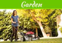 Tips For Landscaping On A Budget Tips For Landscaping On A Budget