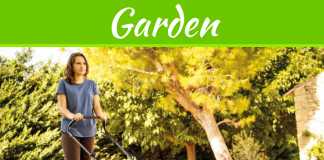 5 Tips To Buying A Walk Behind String Trimmer Tips For Landscaping On A Budget