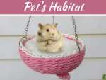 Epic Decoration And Design Ideas For Your Pet’s Habitat Epic Decoration And Design Ideas For Your Pet’s Habitat