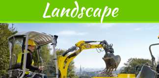 Long Lasting Landscaping Tips `If You Haven't Got