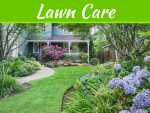 make-your-lawn-fresh-and-healthy-with-advice-from-top-quality-lawn-care-experts