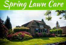Spring Lawn Care – A Schedule That Works Spring Lawn Care – A Schedule That Works