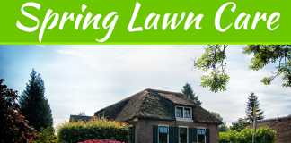 Spring Lawn Care – A Schedule That Works Spring Lawn Care – A Schedule That Works