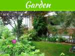 4 Ways To Create A Visually-Appealing And Functional Yard 4 Ways To Create A Visually-Appealing And Functional Yard