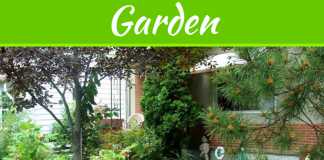 4 Ways To Create A Visually-Appealing And Functional Yard 4 Ways To Create A Visually-Appealing And Functional Yard