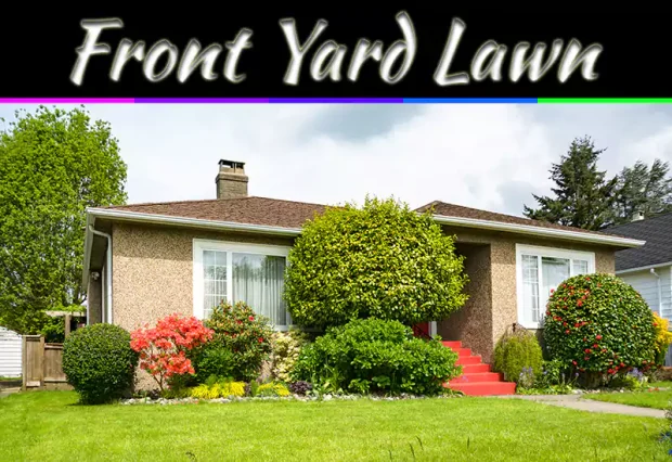 5 Best Grass Types for Your Front Lawn and How to Choose One