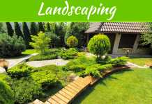 5 Reasons Why Your Yard Needs Landscaping