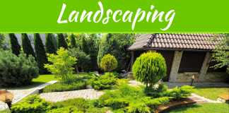 5 Reasons Why Your Yard Needs Landscaping