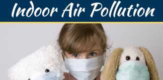 5 Simple Ways To Limit Indoor Air Pollution 5 Simple Ways To Limit Indoor Air Pollution