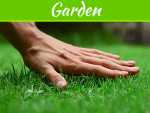5 Types Of Grass Perfect For Your Front Doors 5 Types Of Grass Perfect For Your Front Doors