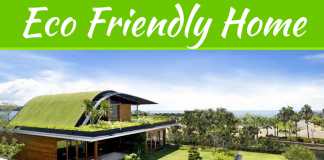 Going Green: How To Build Your Home Eco Friendly Going Green: How To Build Your Home Eco Friendly